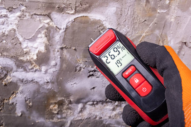 Best Attic Mold Remediation in Marcus Hook, PA